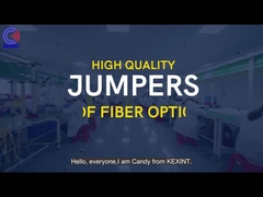 OM3 24 MTP MPO Fiber Optical Patch Cord Type B SENKO Water Blue