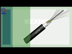 Fiber Optic Drop Cable G652D G657A1 G657A2  Armoured Customized Color