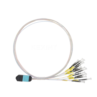 FTTH Multimode MTP LC Fiber Optic Patch Cable Ferrule OM3 OM4 12 Fibers 0.7mm 0.5m